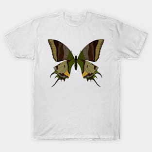 beautiful butterfly T-Shirt